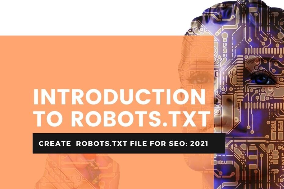 Introduction to robots.txt
