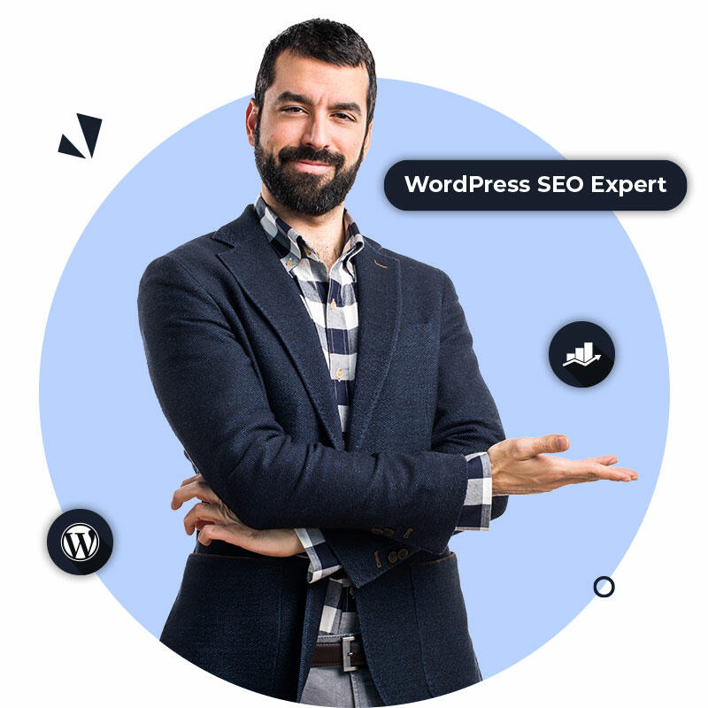 WordPress SEO professionals